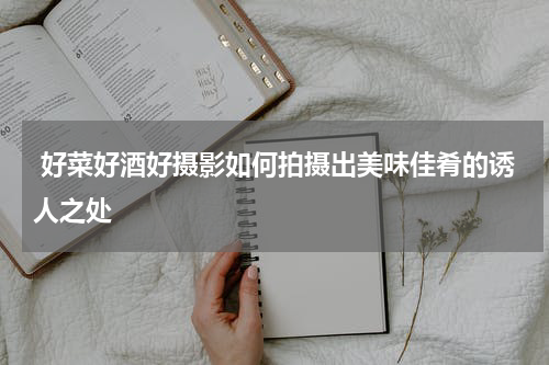  好菜好酒好摄影如何拍摄出美味佳肴的诱人之处