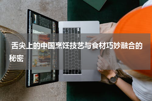  舌尖上的中国烹饪技艺与食材巧妙融合的秘密