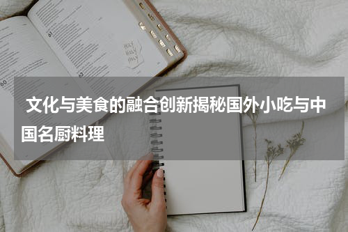  文化与美食的融合创新揭秘国外小吃与中国名厨料理