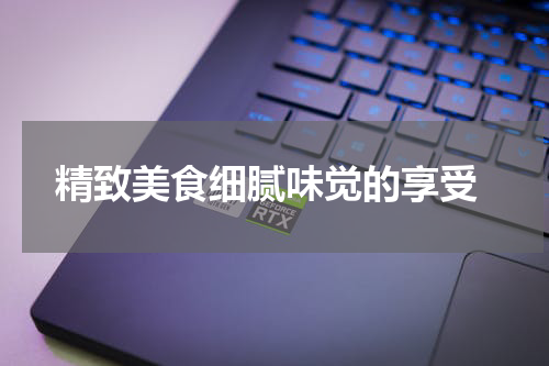  精致美食细腻味觉的享受