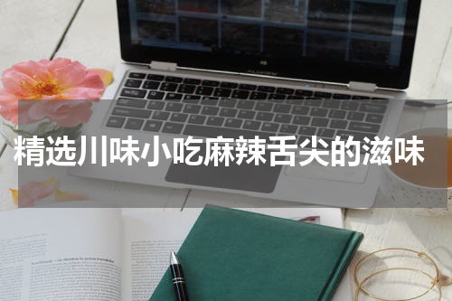  精选川味小吃麻辣舌尖的滋味