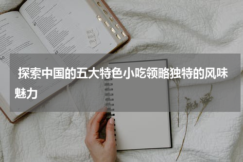  探索中国的五大特色小吃领略独特的风味魅力