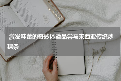  激发味蕾的奇妙体验品尝马来西亚传统炒粿条