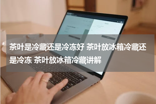 茶叶是冷藏还是冷冻好 茶叶放冰箱冷藏还是冷冻 茶叶放冰箱冷藏讲解