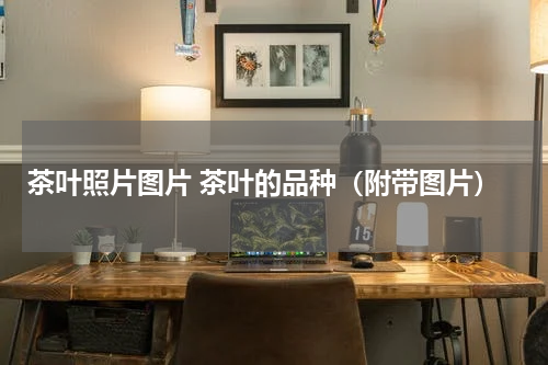 茶叶照片图片 茶叶的品种（附带图片）