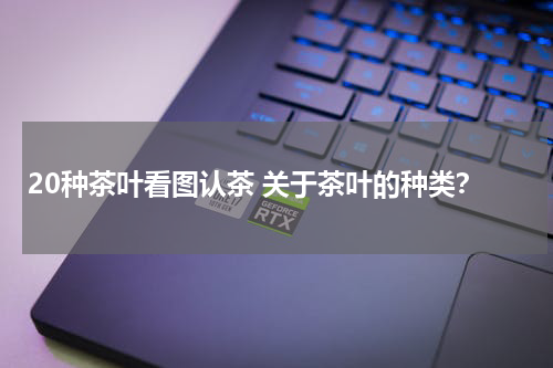 20种茶叶看图认茶 关于茶叶的种类？