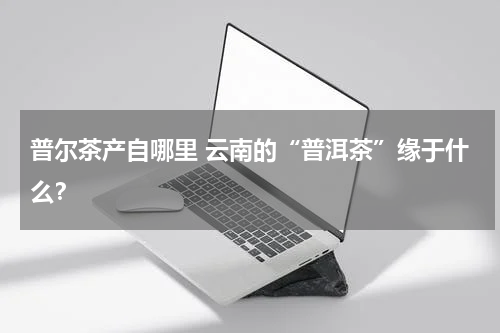 普尔茶产自哪里 云南的“普洱茶”缘于什么？