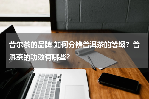 普尔茶的品牌 如何分辨普洱茶的等级？普洱茶的功效有哪些？