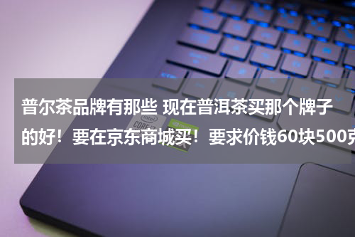 普尔茶品牌有那些 现在普洱茶买那个牌子的好！要在京东商城买！要求价钱60块500克左右！