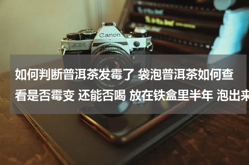 如何判断普洱茶发霉了 袋泡普洱茶如何查看是否霉变 还能否喝 放在铁盒里半年 泡出来成色比以前浅