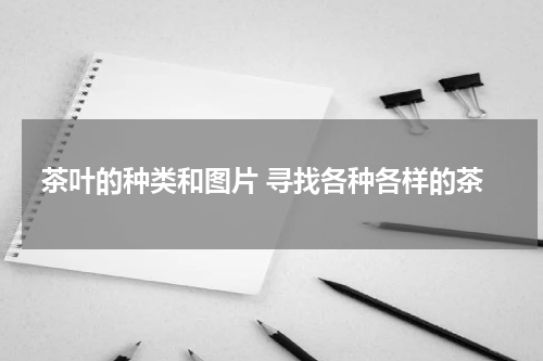 茶叶的种类和图片 寻找各种各样的茶
