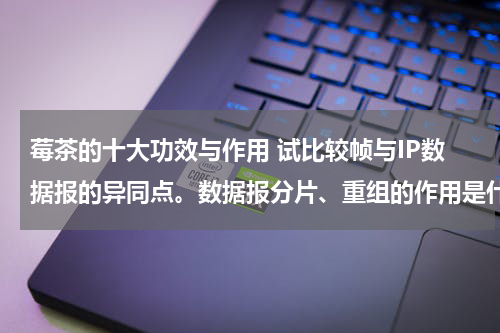 莓茶的十大功效与作用 试比较帧与IP数据报的异同点。数据报分片、重组的作用是什么？它们分别在何处进行？