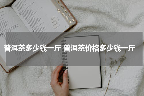 普洱茶多少钱一斤 普洱茶价格多少钱一斤