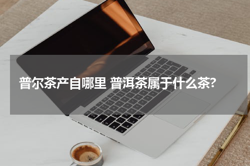 普尔茶产自哪里 普洱茶属于什么茶?