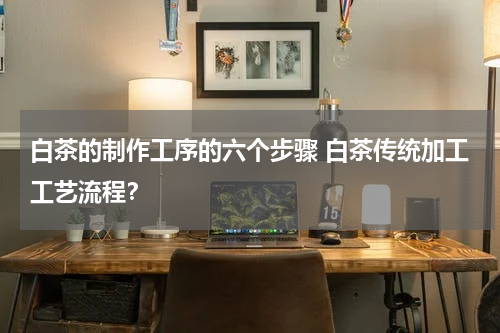 白茶的制作工序的六个步骤 白茶传统加工工艺流程？