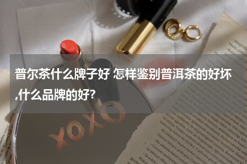 普尔茶什么牌子好 怎样鉴别普洱茶的好坏,什么品牌的好？