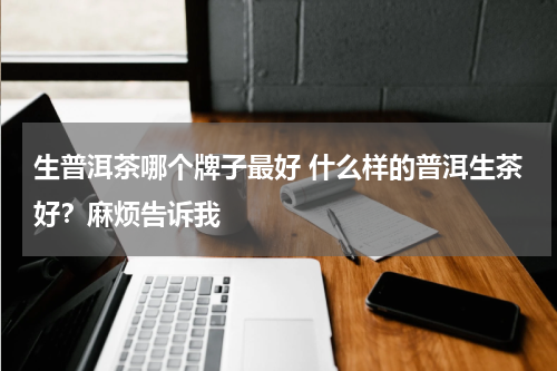 生普洱茶哪个牌子最好 什么样的普洱生茶好？麻烦告诉我