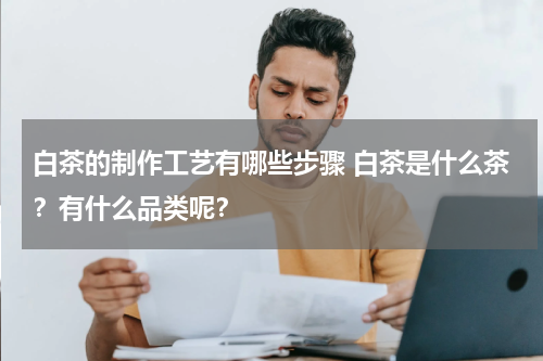 白茶的制作工艺有哪些步骤 白茶是什么茶？有什么品类呢？
