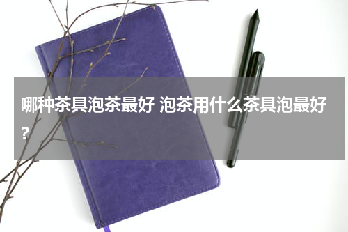哪种茶具泡茶最好 泡茶用什么茶具泡最好?