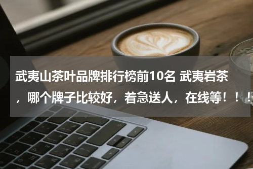 武夷山茶叶品牌排行榜前10名 武夷岩茶，哪个牌子比较好，着急送人，在线等！！！