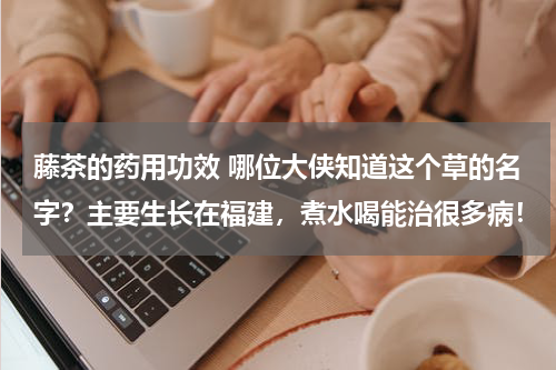 藤茶的药用功效 哪位大侠知道这个草的名字？主要生长在福建，煮水喝能治很多病！