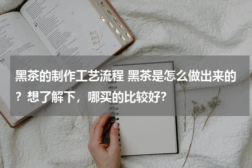 黑茶的制作工艺流程 黑茶是怎么做出来的？想了解下，哪买的比较好？