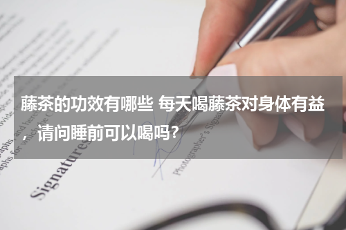 藤茶的功效有哪些 每天喝藤茶对身体有益，请问睡前可以喝吗？