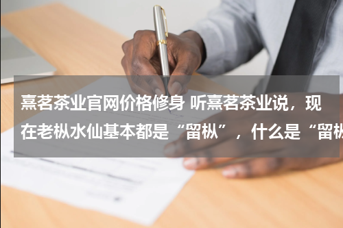 熹茗茶业官网价格修身 听熹茗茶业说，现在老枞水仙基本都是“留枞”，什么是“留枞”？
