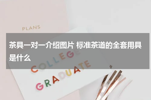茶具一对一介绍图片 标准茶道的全套用具是什么