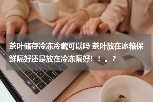 茶叶储存冷冻冷藏可以吗 茶叶放在冰箱保鲜隔好还是放在冷冻隔好！！。？