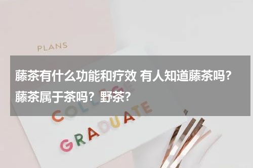藤茶有什么功能和疗效 有人知道藤茶吗？藤茶属于茶吗？野茶？