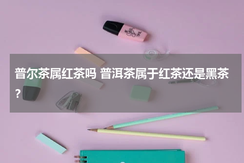 普尔茶属红茶吗 普洱茶属于红茶还是黑茶？