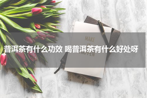 普洱茶有什么功效 喝普洱茶有什么好处呀