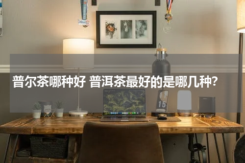 普尔茶哪种好 普洱茶最好的是哪几种？