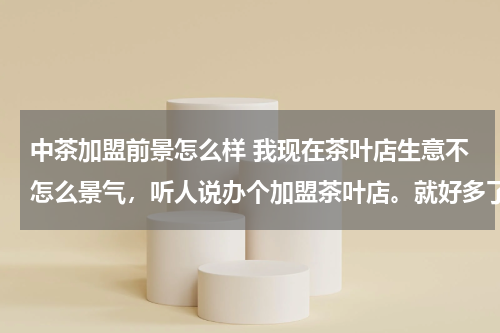 中茶加盟前景怎么样 我现在茶叶店生意不怎么景气，听人说办个加盟茶叶店。就好多了？