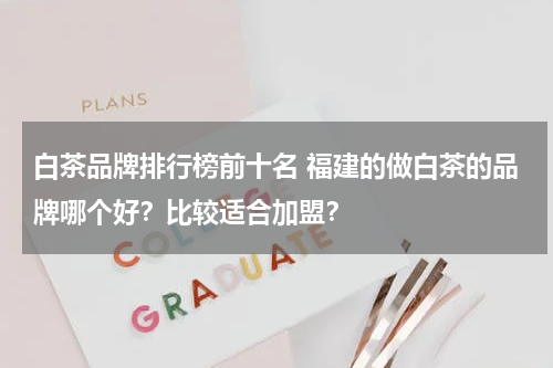 白茶品牌排行榜前十名 福建的做白茶的品牌哪个好？比较适合加盟？