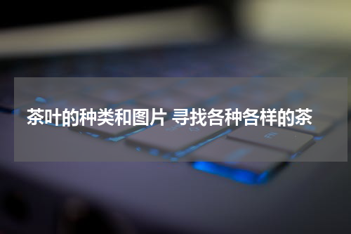 茶叶的种类和图片 寻找各种各样的茶