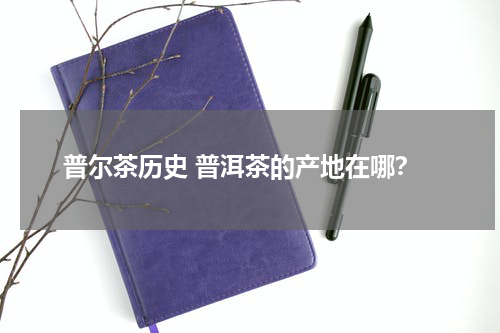 普尔茶历史 普洱茶的产地在哪？