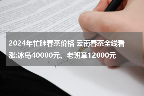 2024年忙肺春茶价格 云南春茶全线看涨:冰岛40000元、老班章12000元