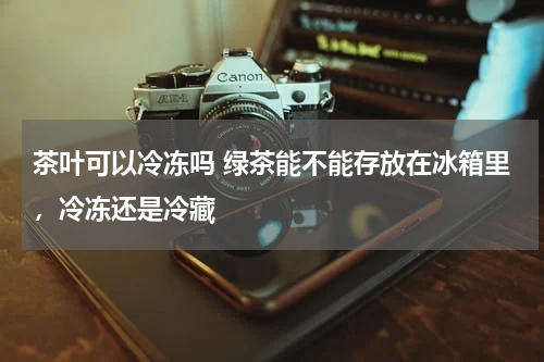 茶叶可以冷冻吗 绿茶能不能存放在冰箱里，冷冻还是冷藏