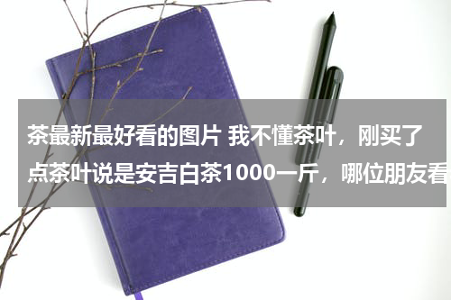 茶最新最好看的图片 我不懂茶叶，刚买了点茶叶说是安吉白茶1000一斤，哪位朋友看看这茶叶好不好？图一第一次泡，图二第三