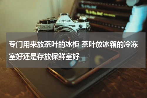 专门用来放茶叶的冰柜 茶叶放冰箱的冷冻室好还是存放保鲜室好
