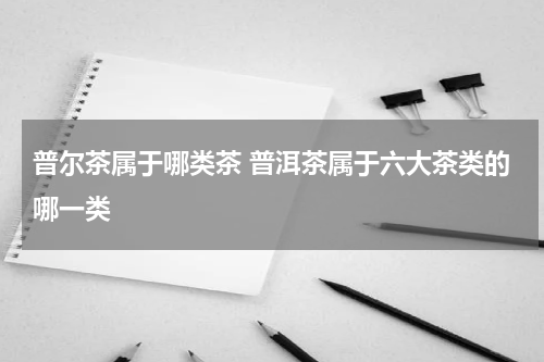 普尔茶属于哪类茶 普洱茶属于六大茶类的哪一类