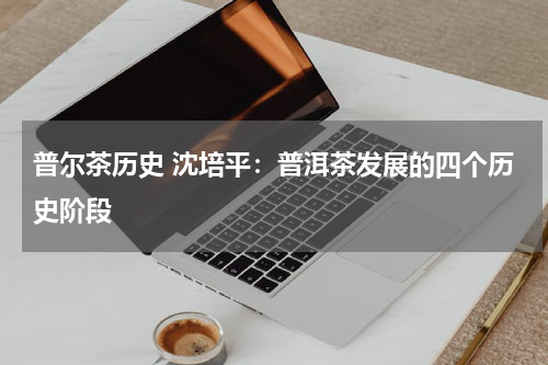 普尔茶历史 沈培平：普洱茶发展的四个历史阶段