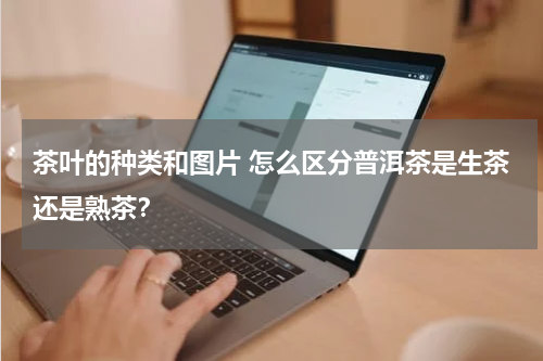 茶叶的种类和图片 怎么区分普洱茶是生茶还是熟茶？