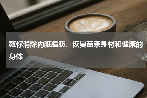 教你消除内脏脂肪，恢复苗条身材和健康的身体