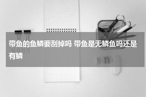 带鱼的鱼鳞要刮掉吗 带鱼是无鳞鱼吗还是有鳞