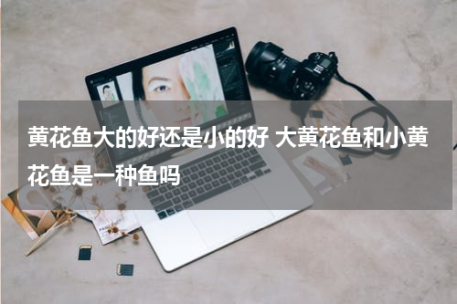 黄花鱼大的好还是小的好 大黄花鱼和小黄花鱼是一种鱼吗