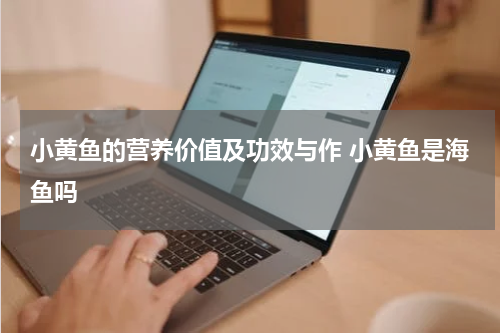 小黄鱼的营养价值及功效与作 小黄鱼是海鱼吗