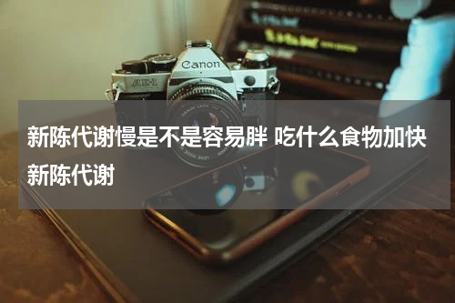 新陈代谢慢是不是容易胖 吃什么食物加快新陈代谢